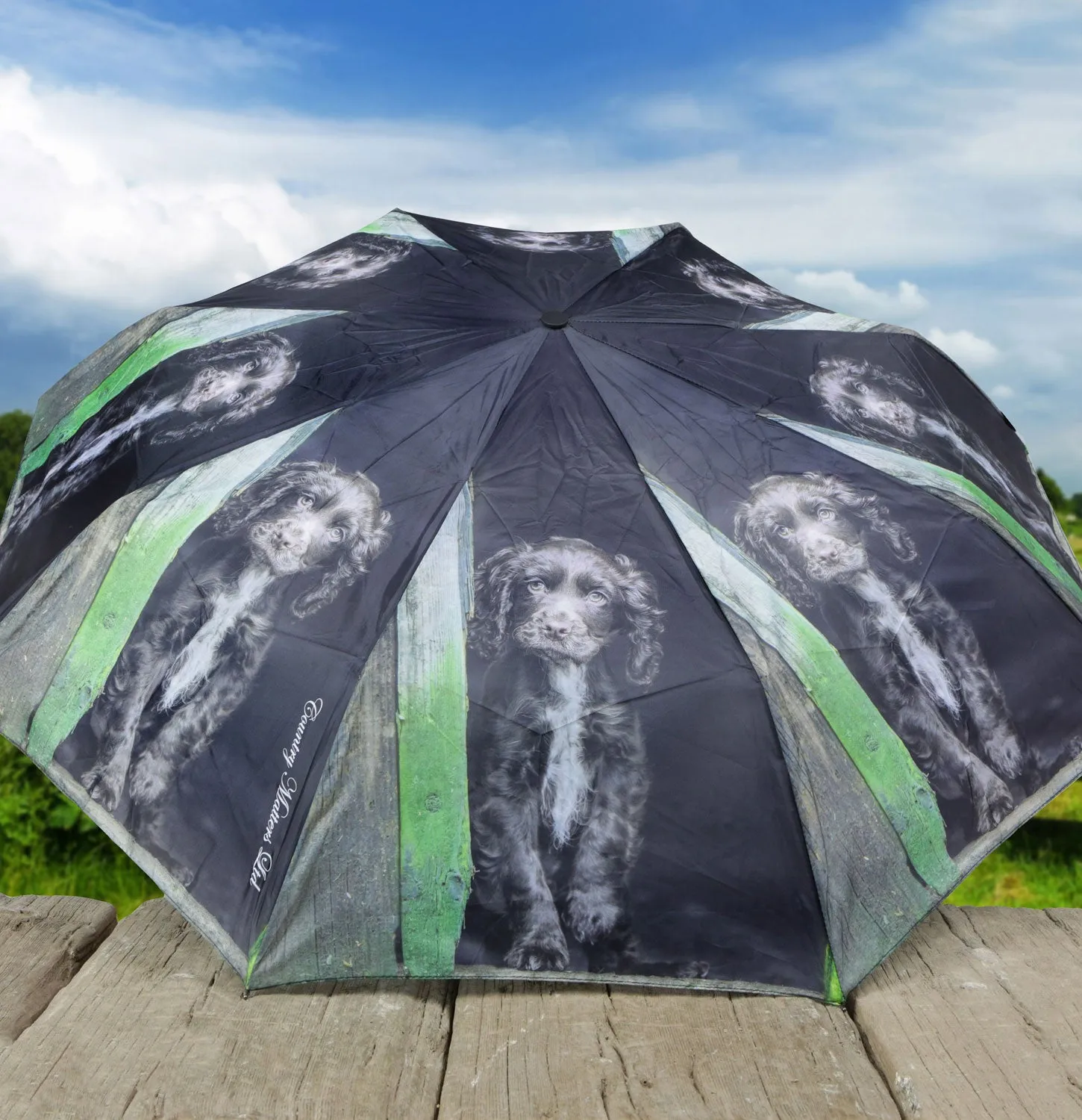 Country Matters Telescopic and Folding Umbrella - 'Coco Choc Cocker'