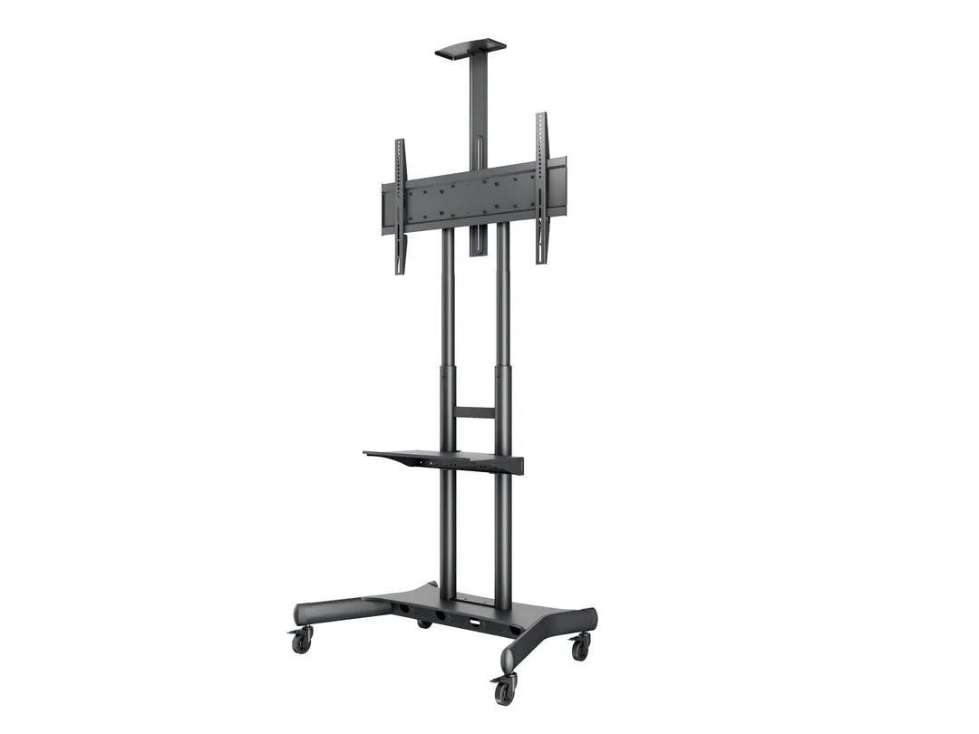 Stand 180   Shelf & Camera Holder